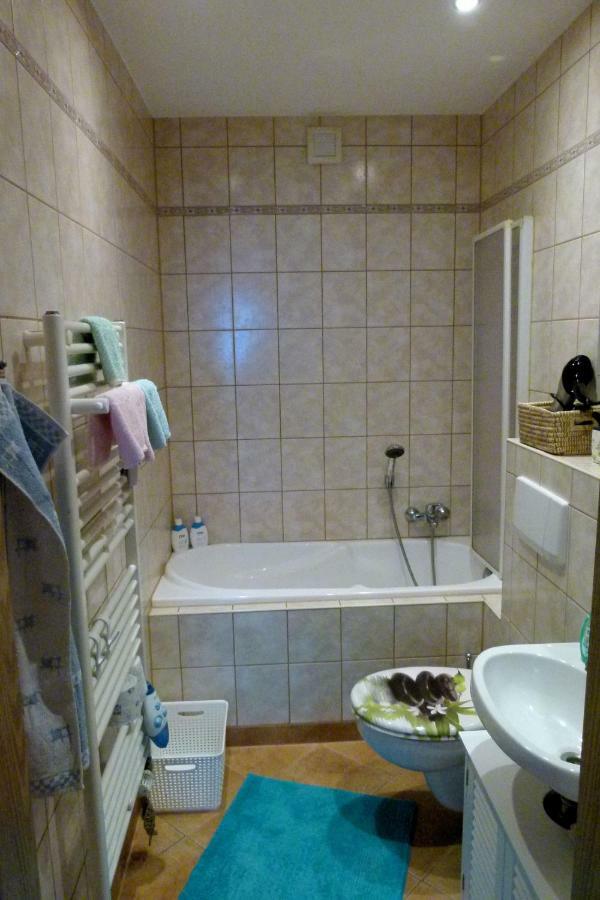 Ferienwohnung Karo Ellefeld エクステリア 写真